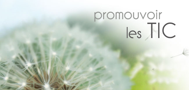 Inforef - Promouvoir les TIC
