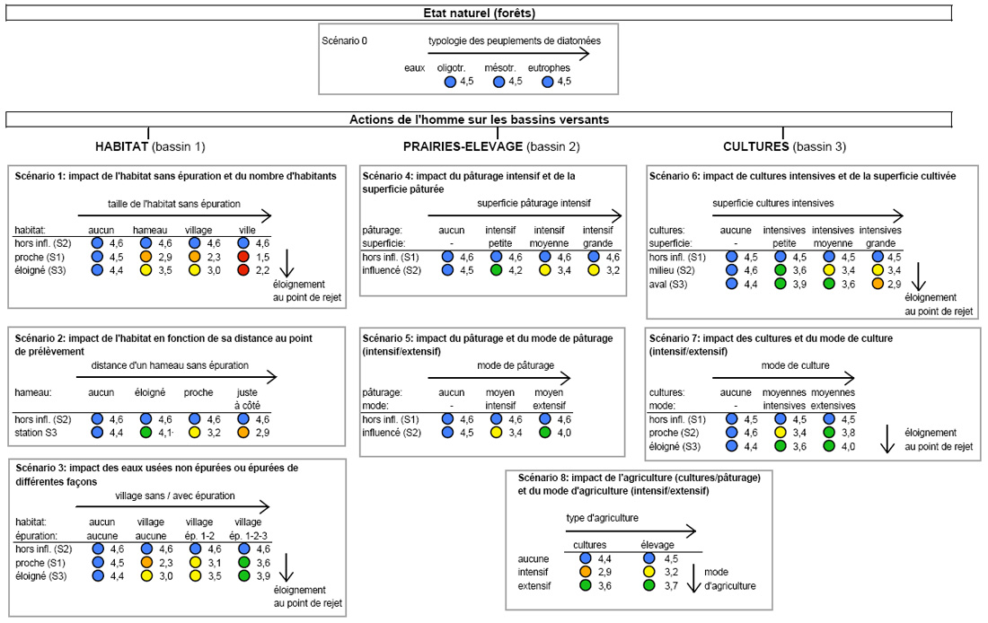organigramme